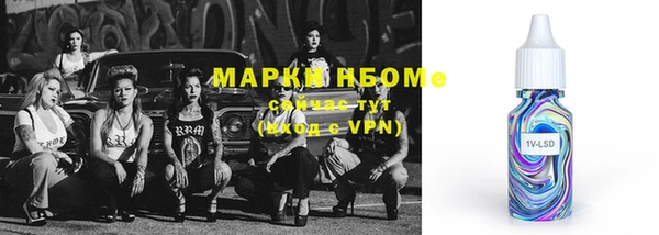 прущие грибы Абаза
