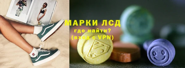 прущие грибы Абаза