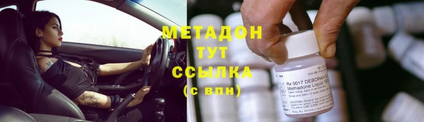 прущие грибы Абаза