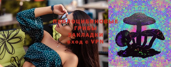 прущие грибы Абаза
