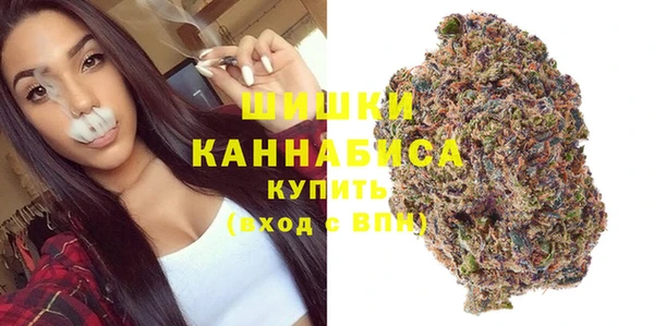 прущие грибы Абаза