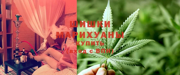 прущие грибы Абаза