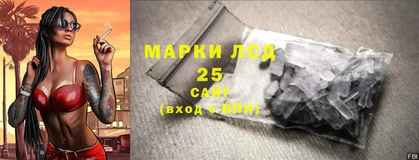 прущие грибы Абаза