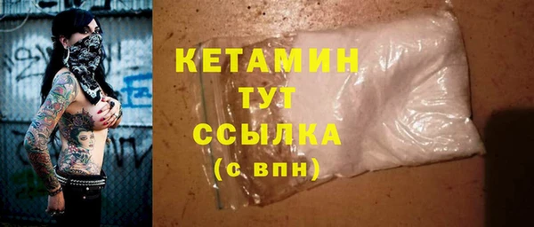 прущие грибы Абаза