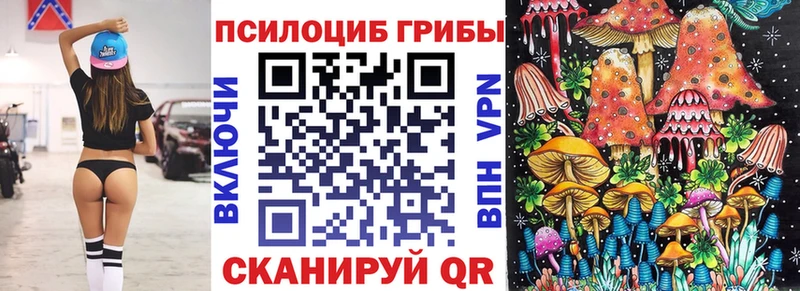 Галлюциногенные грибы Psilocybe  Зубцов 